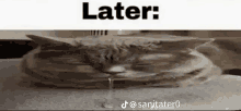 a cat is laying on its back on a table with water dripping from its nose .