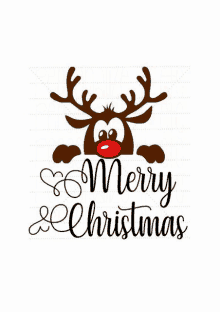 a reindeer with a red nose and the words merry christmas .