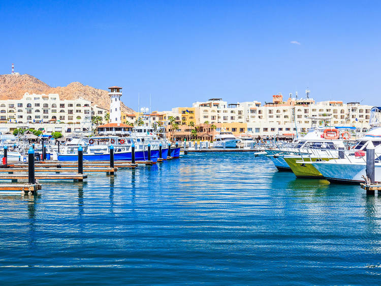 Cabo San Lucas