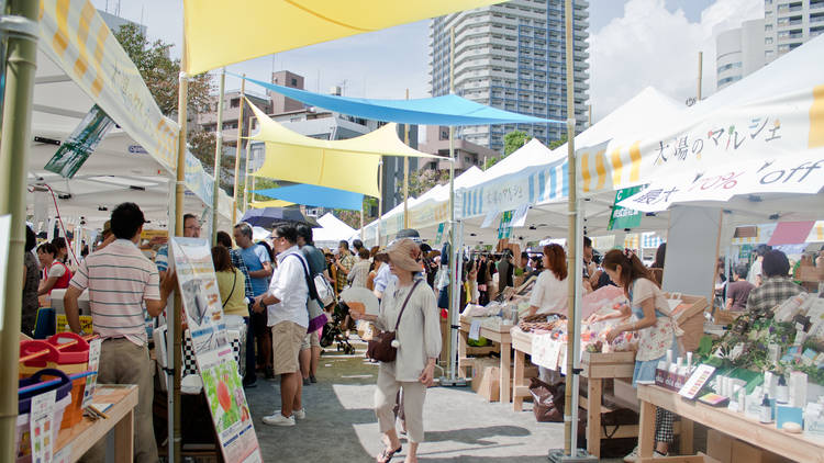 Pick up fresh produce at Market of the Sun