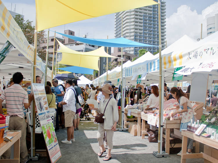 Pick up fresh produce at Market of the Sun