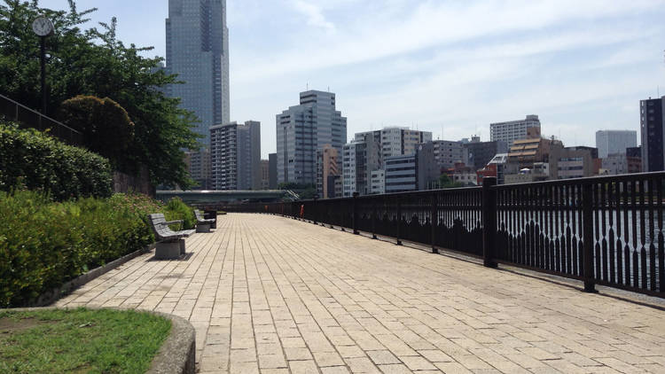 Jog along the Sumida River Terrace