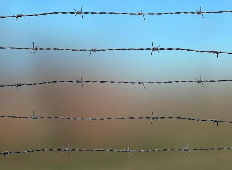 9 Types Of Wire Fences For Your Yard