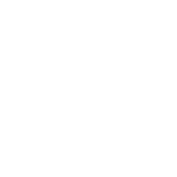 Star Icon