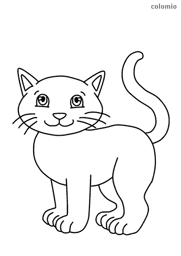 Kitten coloring page