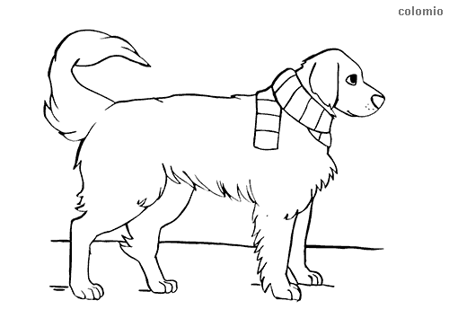 Dog coloring pages