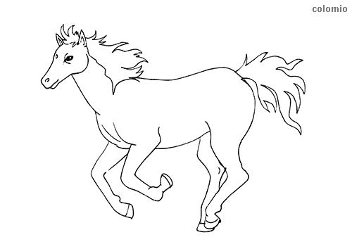 Foal galloping coloring page