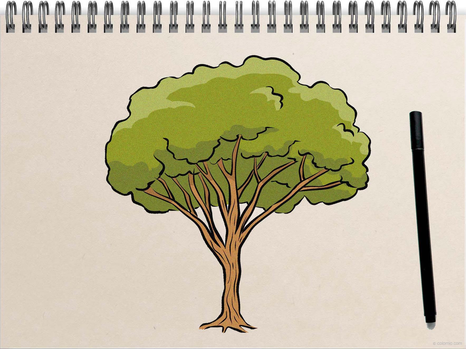 Tree drawing - Step by Step