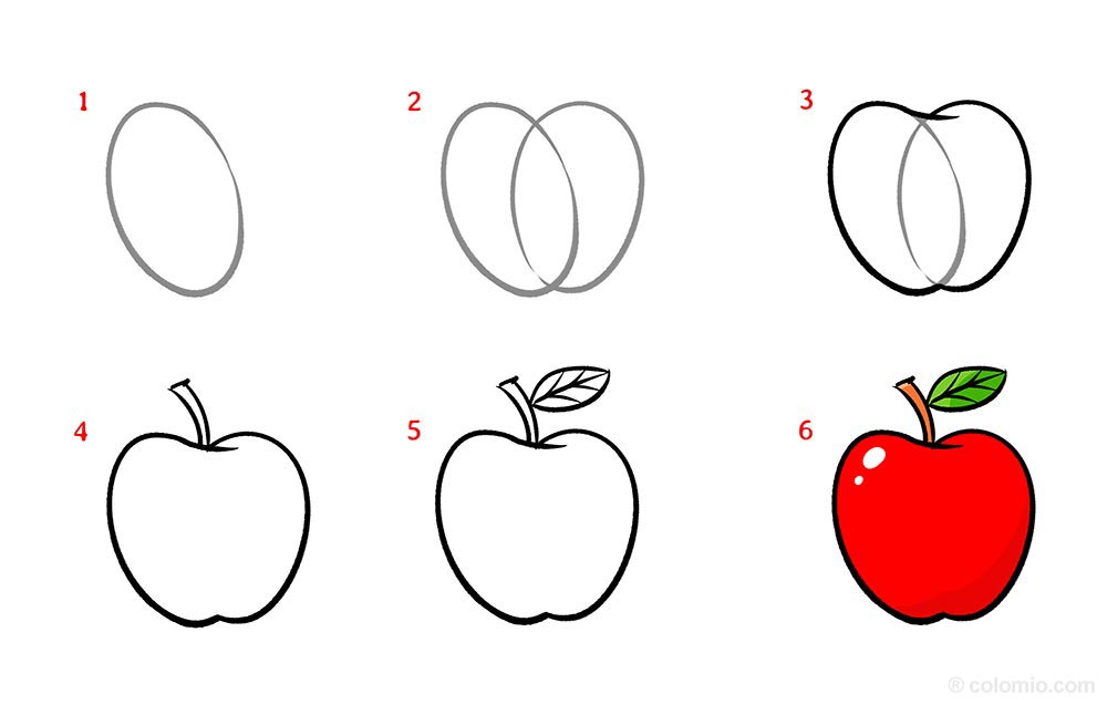 Apple drawing - Step by Step