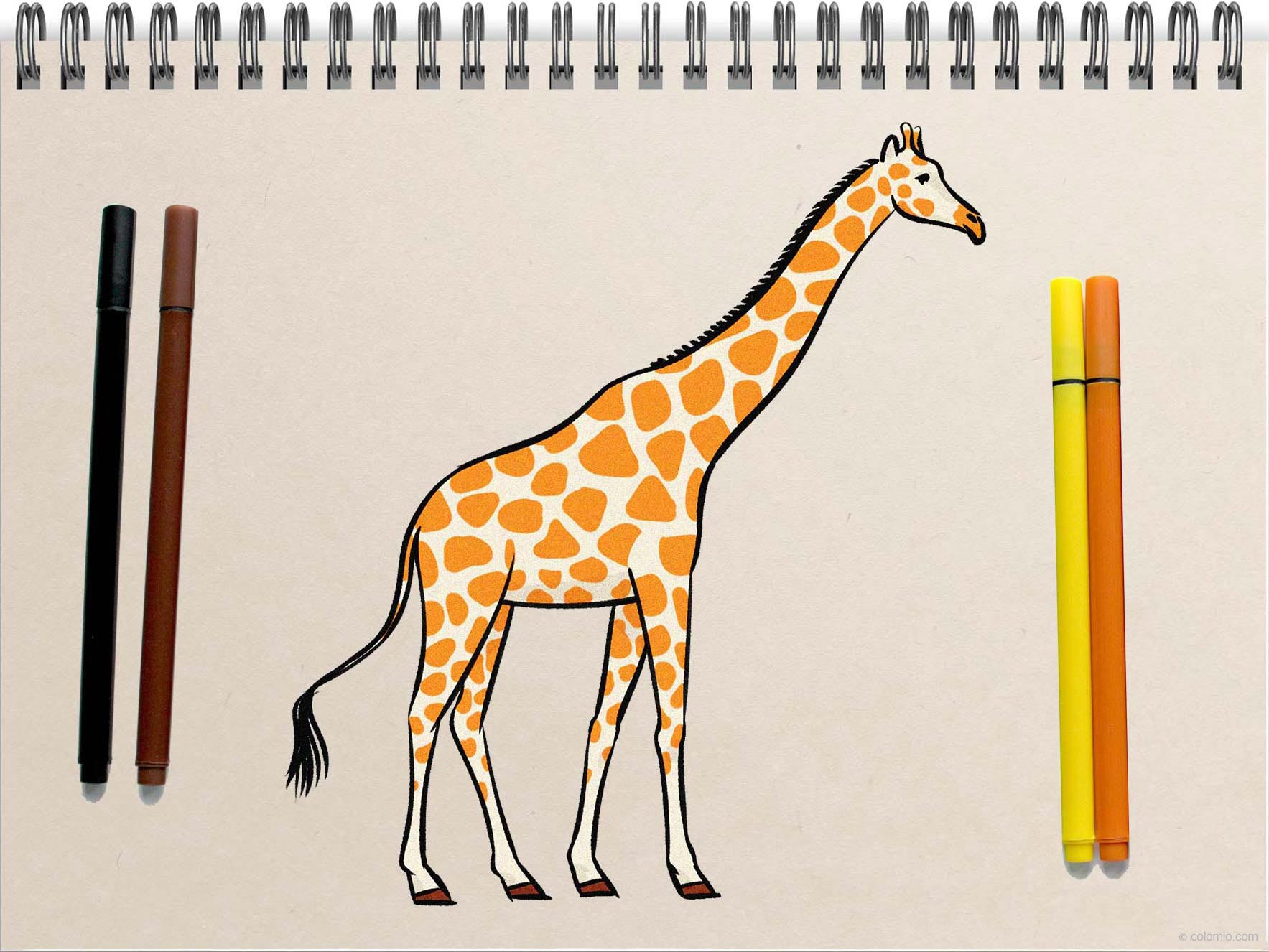 Giraffe drawing - Step by Step