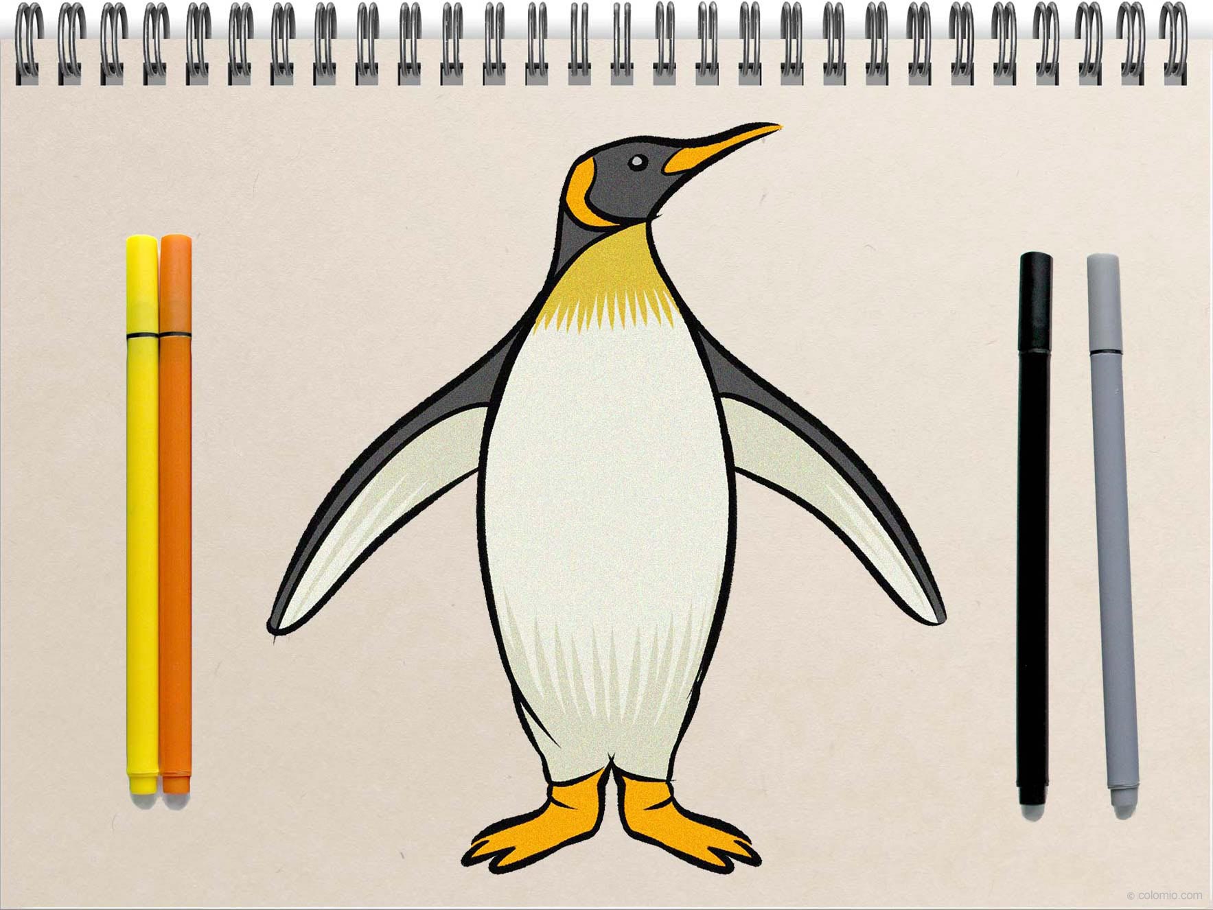 Penguin drawing - Step by Step