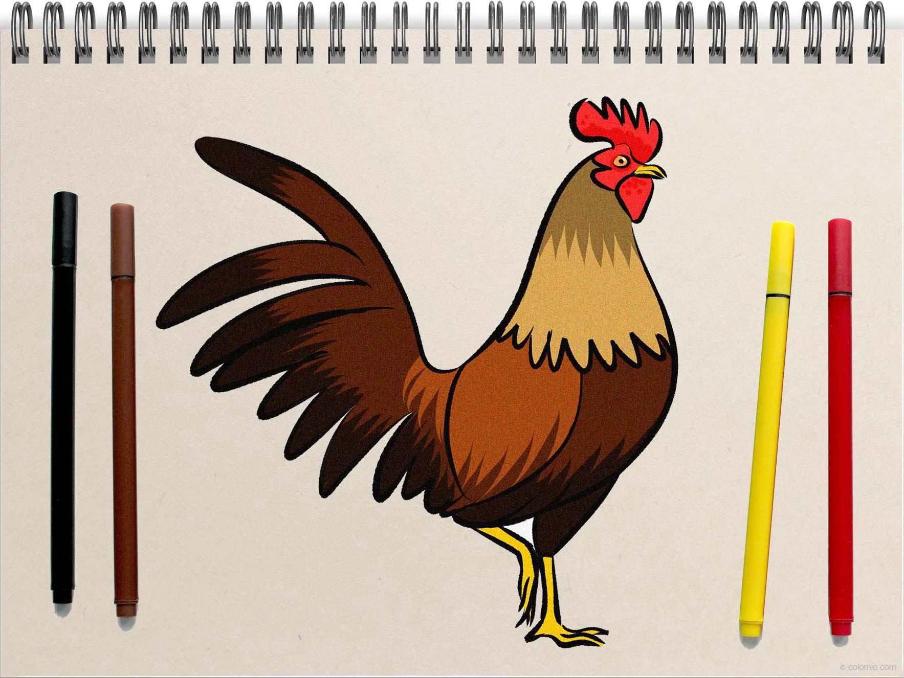 Rooster drawing - Step by Step