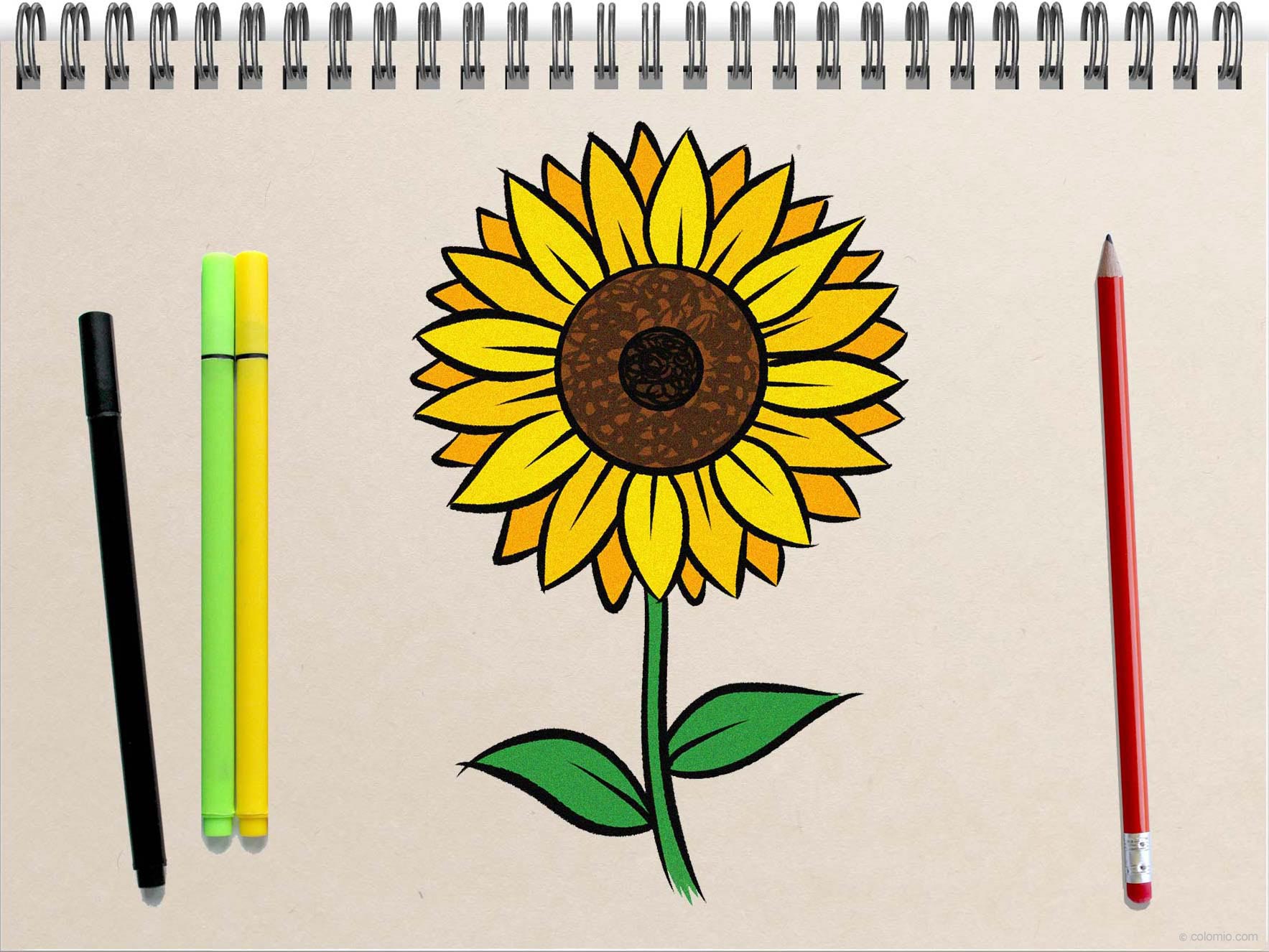 How to Draw a Sunflower - Step by Step