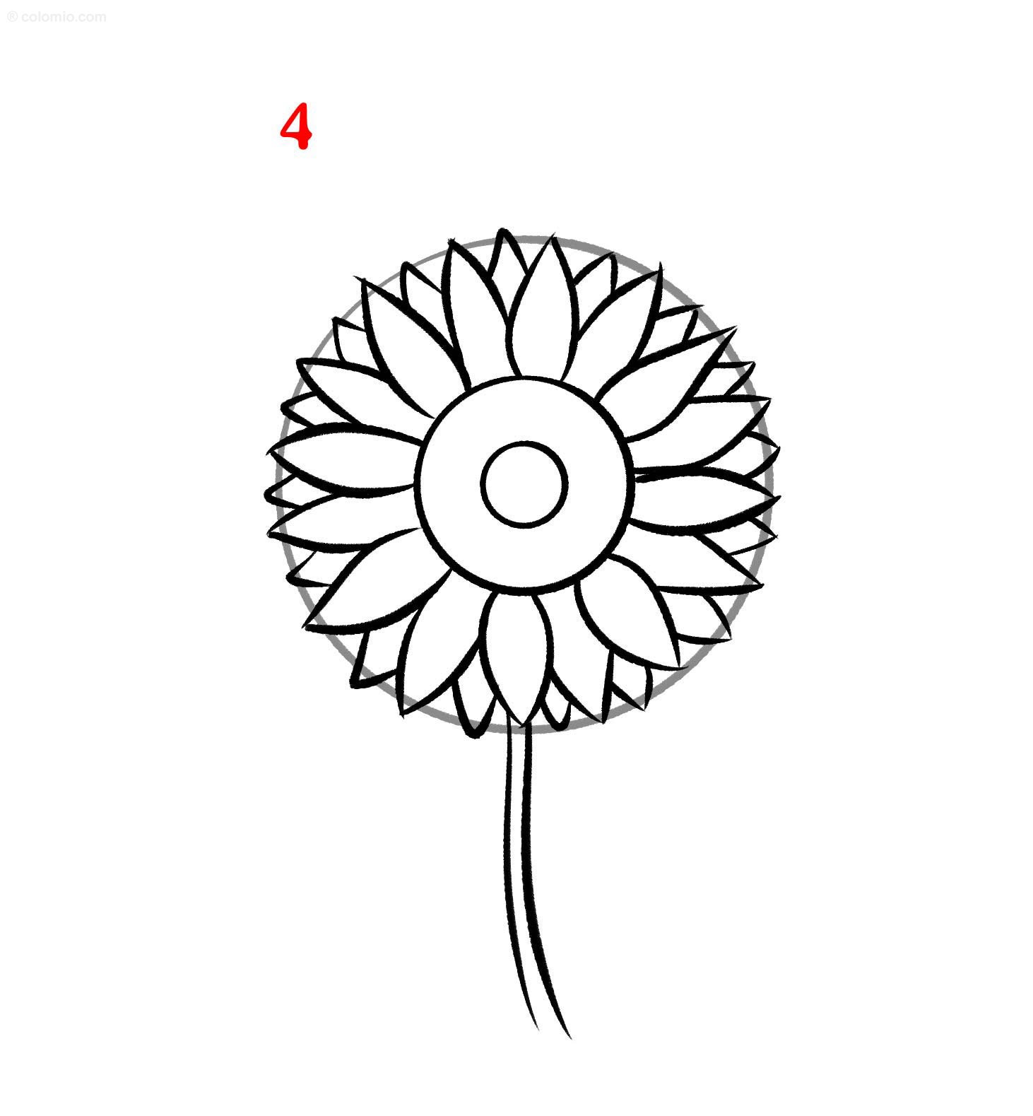 How to Draw a Sunflower - Step by Step