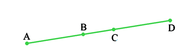 NCERT Solutions for Class 9 Maths Chapter 5