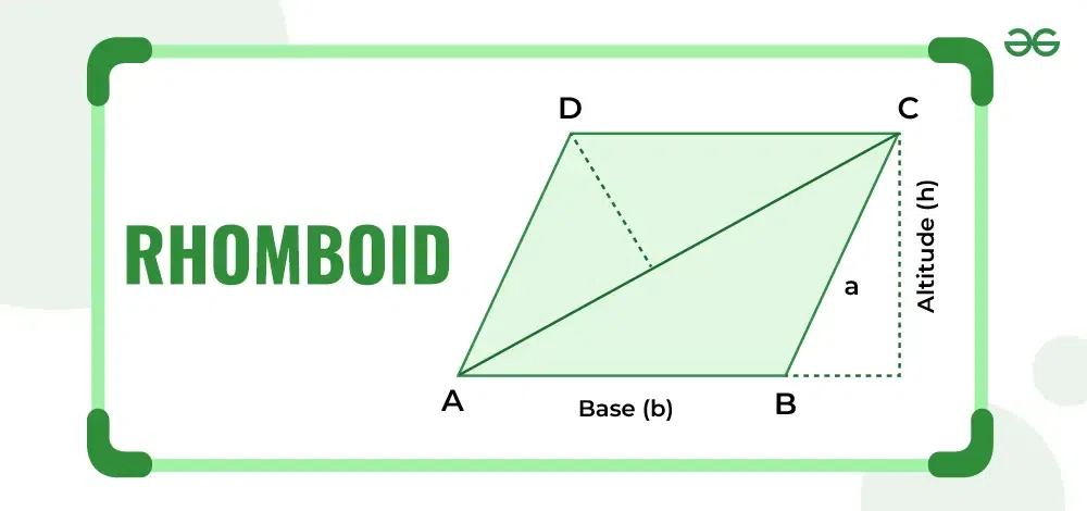 Rhomboid