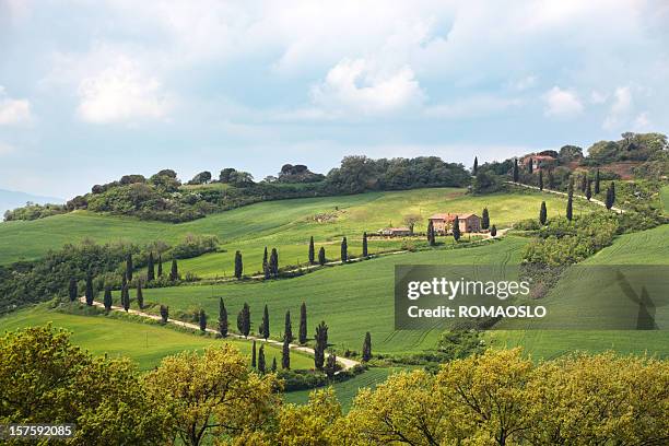 val d'orcia farmhouse with cypresses, la foce tuscany italy - goose neck curve stock pictures, royalty-free photos & images