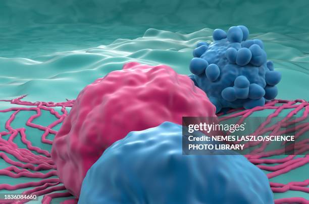 thyroid cancer, illustration - human figure green background stock illustrations