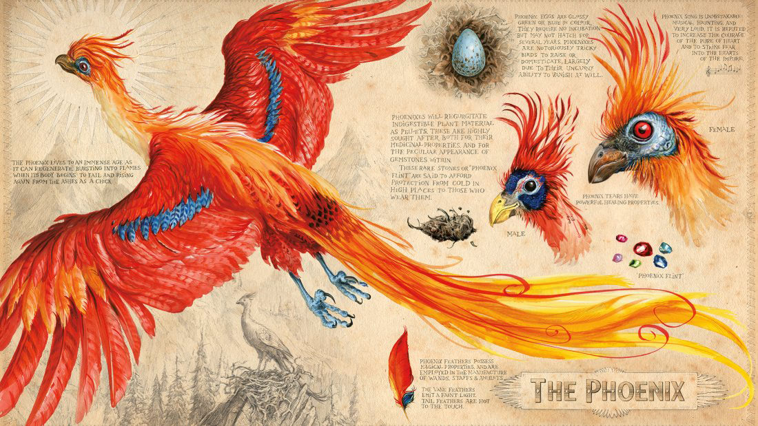 The Phoenix