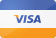 We accept Visa Card