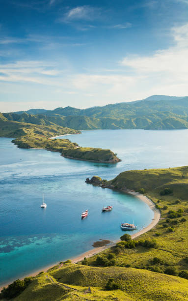 pemandangan dari gili lawa - labuan bajo potret stok, foto, & gambar bebas royalti