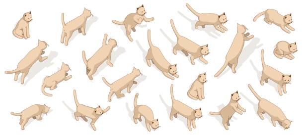 Cat isometric posing set. 3d domestic cat vector illustration Cat isometric posing set. 3d domestic cat vector illustration. Cartoon Kitten walking sitting play and other. scared stretch stock illustrations