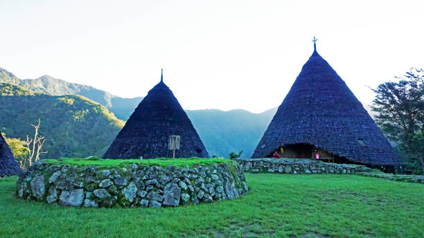 mbaru niang, sebuah rumah tradisional di desa wae rebo, nusa tenggara timur, indonesia -stock photo - labuan bajo potret stok, foto, & gambar bebas royalti