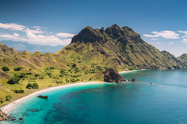 teluk pantai di taman nasional komodo di indonesia - labuan bajo potret stok, foto, & gambar bebas royalti