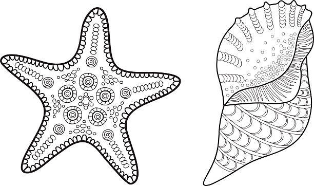 echinoderm coloring pages