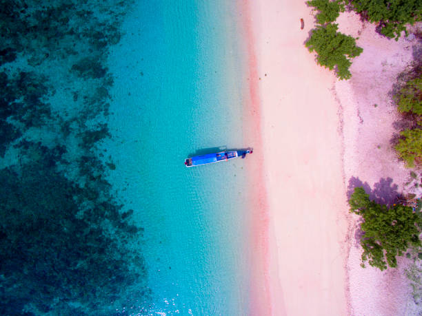 pantai aerial pink - labuan bajo potret stok, foto, & gambar bebas royalti