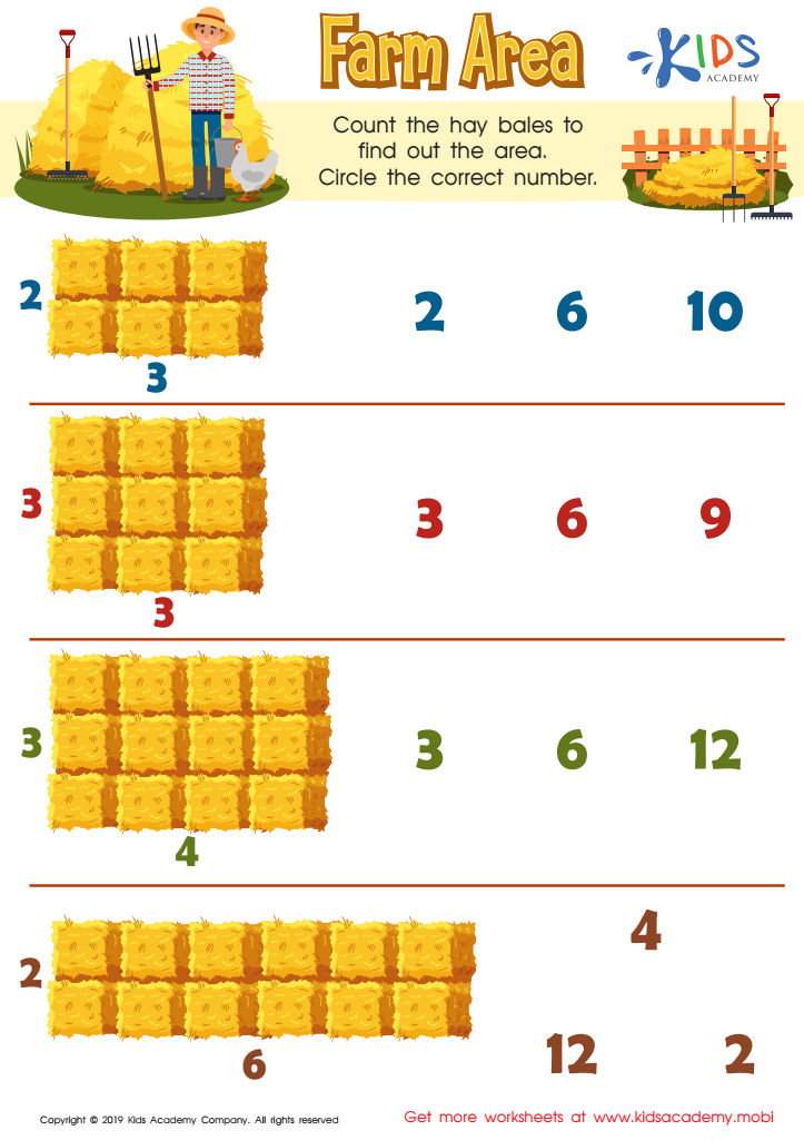 Farm Area Worksheet