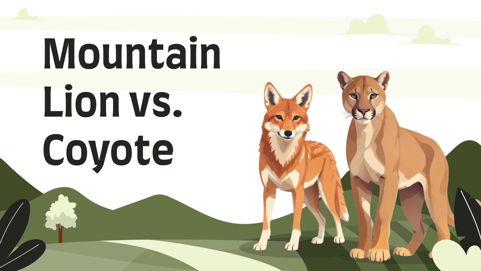 Mountain Lion vs. Coyote presentation template 