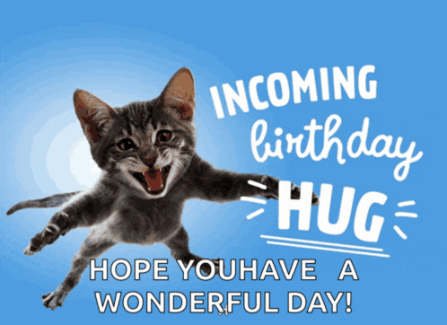 a birthday card with a cat and the words incoming birthday hug