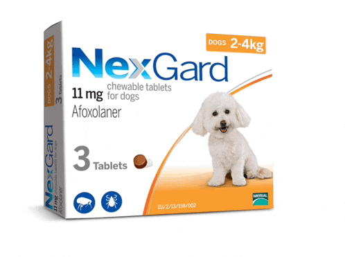 a box of nexgard chewable tablets for dogs 2 4kg