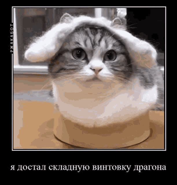 a cat wearing bunny ears is sitting in a cardboard box .