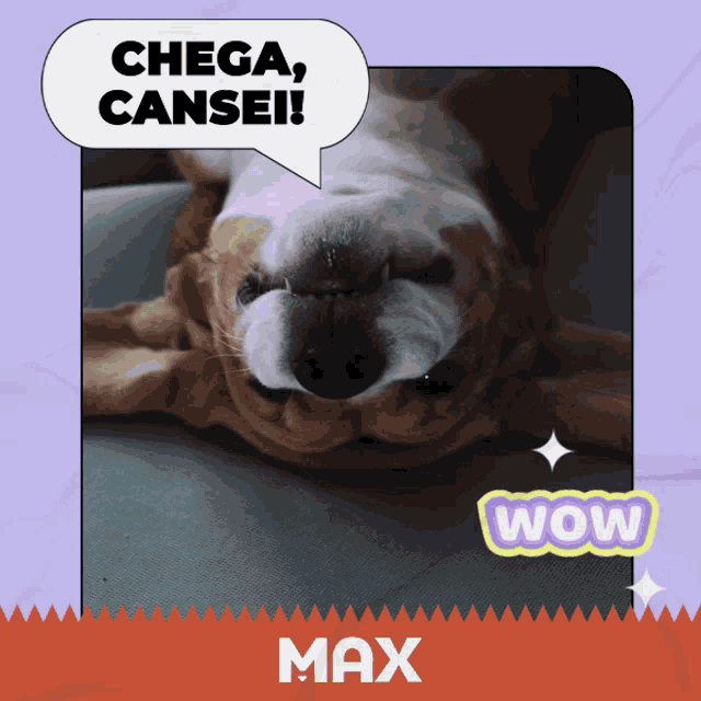 a dog with a speech bubble that says " chega cansei "