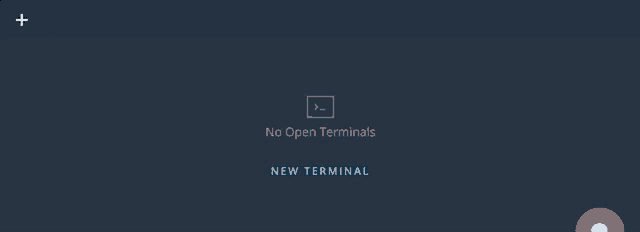 a screenshot of a terminal that says terminal 1