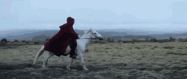 a woman in a red coat is riding on the back of a white horse in a field .