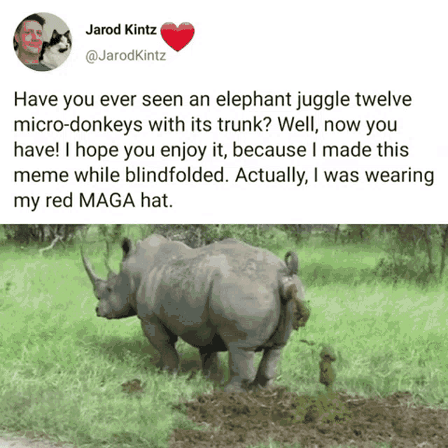 a tweet by jarod kitz shows a rhino standing in a grassy field
