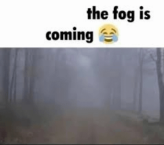 a picture of a foggy forest with a laughing emoji .