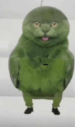 a cat that looks like a watermelon is standing on a table .
