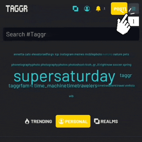 a screenshot of a website that says taggr search #taggr