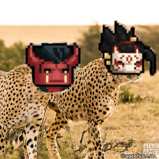 a cheetah is standing next to another cheetah with a pixel art of a demon on its back