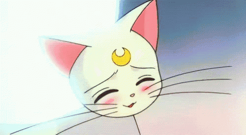a cat with a crescent moon on its head is smiling .