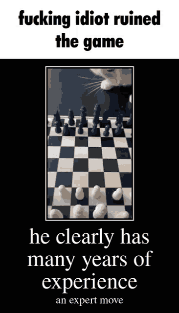 a picture of a chess board with a cat in the background and the caption " fucking idiot ruined the game "