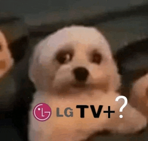 a small white dog is sitting in front of a lg tv + logo .