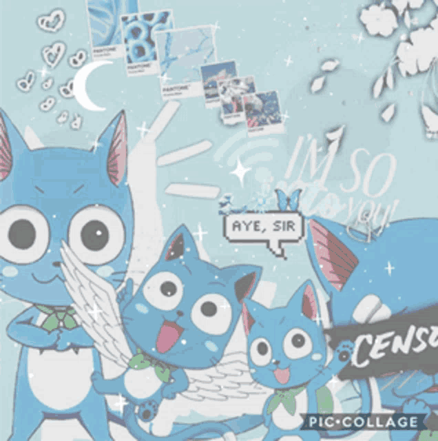 a collage of happy fairy tail cats with a speech bubble saying aye sr