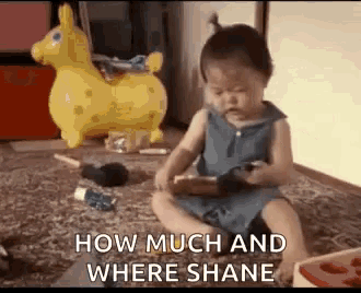 a baby is sitting on the floor playing with a toy and says `` how much and where shane ''