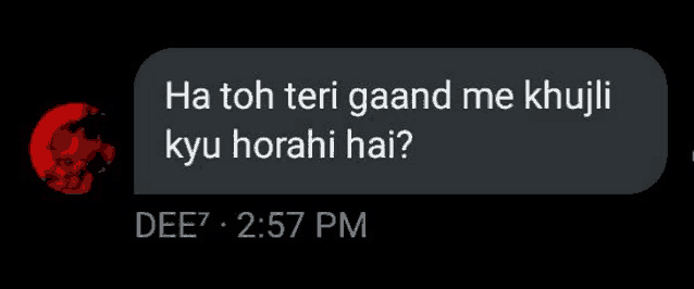 a screenshot of a text message that says `` ha toh teri gaand me khujii kyu ho rahi hai ? ''