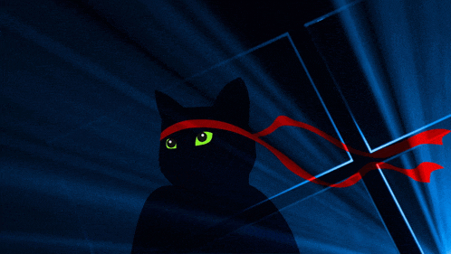 a black cat with green eyes and a red band around its neck